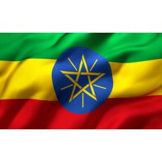 Ethiopia Yirgacheffe FTO 1lb