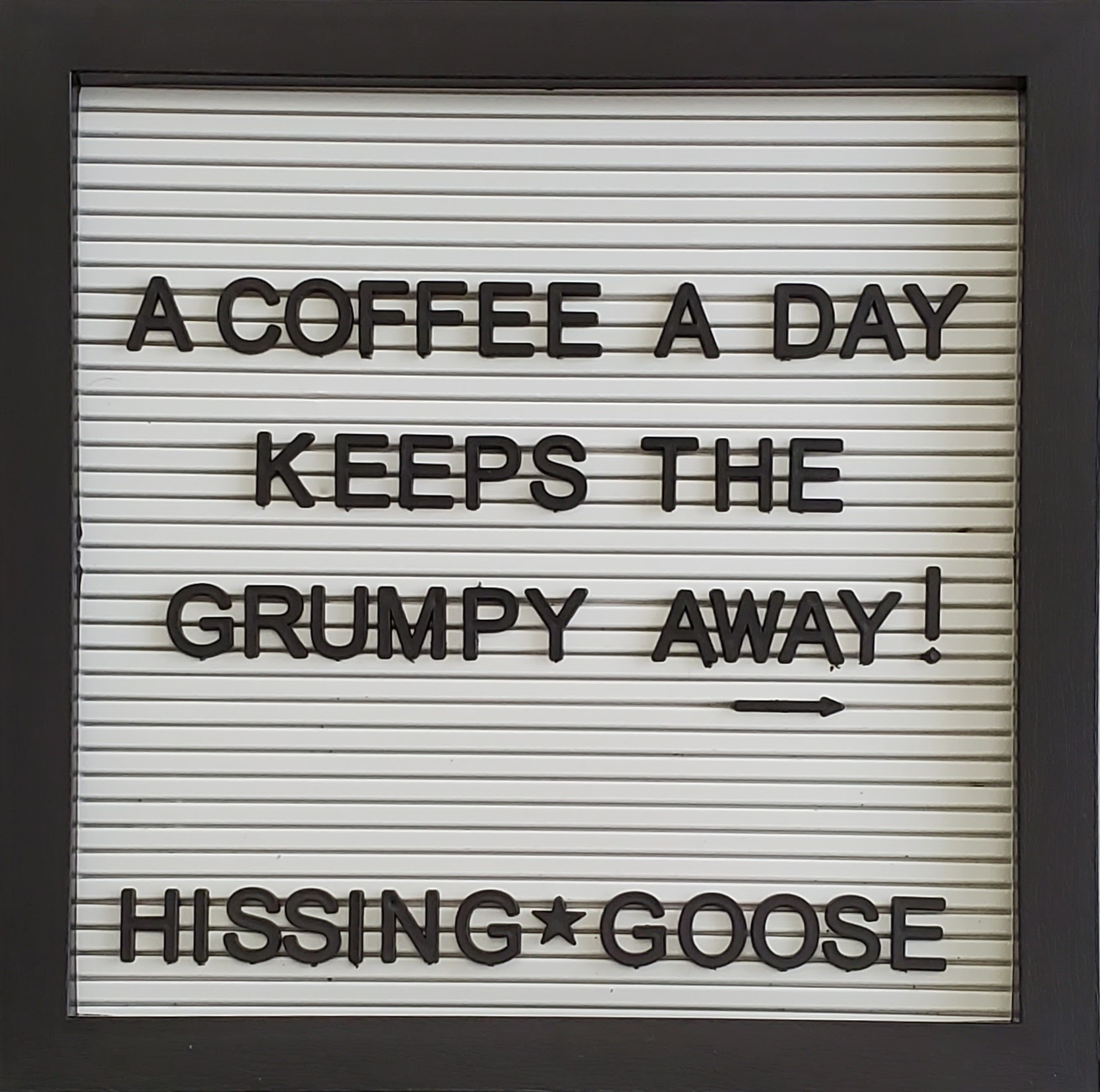 A coffee a day keeps the grumpy away!  Hissing Goose